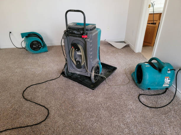 Best Water damage cleanup near me  in Noel, MO