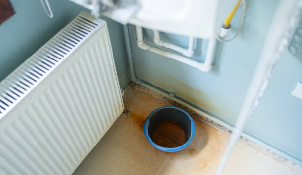 Best Emergency water extraction  in Noel, MO