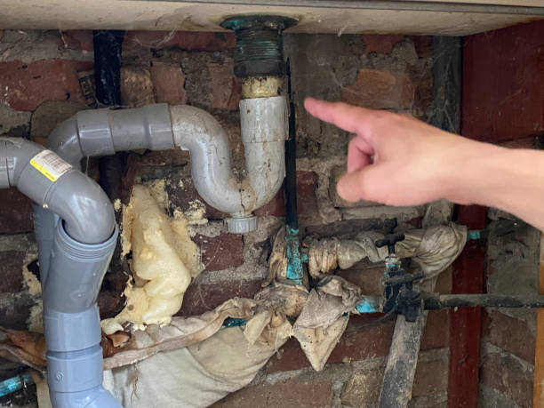 Best Water damage restoration near me  in Noel, MO