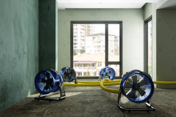 Best Sewage cleanup and water damage restoration  in Noel, MO